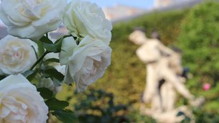 カメラが楽しくなるスポット