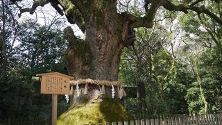 名古屋の神社と言えば