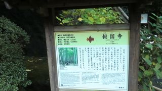 枯山水に竹林