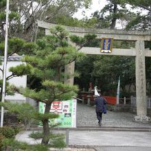 大きな鳥居をいくつもくぐります