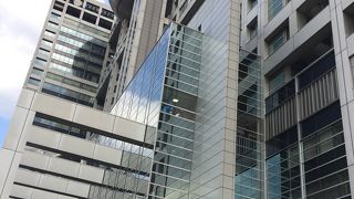 ラフ君もいました。