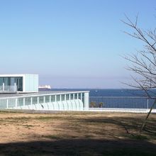 屋上庭から東京湾を望む