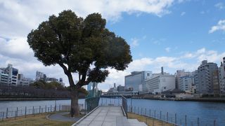 水の都大阪、中之島はいいな、