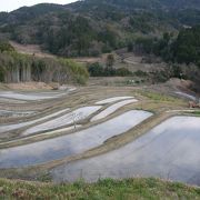 山間の斜面に広がる棚田