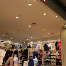 小さめなお店