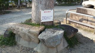 この岩に腰かけてゆっくりと新しい発見をしよう