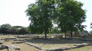 アグロポリからナポリへの専用車チャーターは便利♪