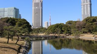 都内の有料公園の１つ