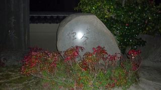 生田南水の娘で大和画の絵師でした