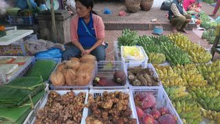 ラオスならではの食材も