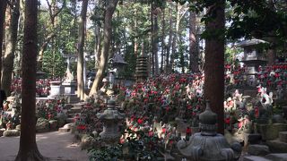 狐の像がたくさん