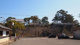 島原のシンボル