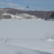 湖面は全く望めない、春先の冬の装いがとても美しいです