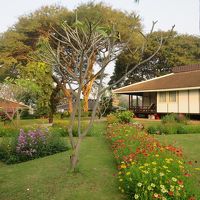 ヴィラ前の中庭にはお花が咲き乱れています。