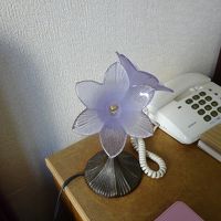 ベッドサイドの灯りは接触悪く時々切れました