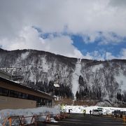 3月後半でもパウダースノーを満喫出来ました