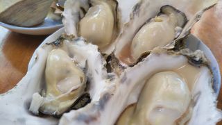 みさきさざゑ店