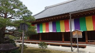 若い僧侶の姿がたくさん見られます