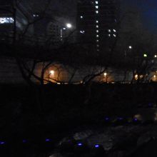 ライトアップが幻想的