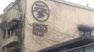 いい存在感です