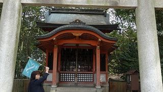 団体客も足を運んでいました