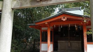 芸能人もお参り？