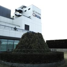 天気が良ければ良いね…。