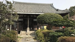 四季折々にいろんな花が咲き心癒される静かなお寺。
