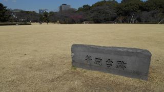 今は広い芝生になっています