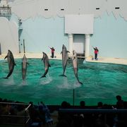 日本初の水族館