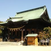 つばきの神社