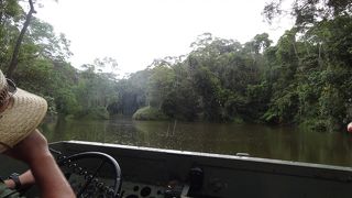 アーミーダックのみで十分楽しめます