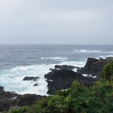 展望台から右側を見た景色