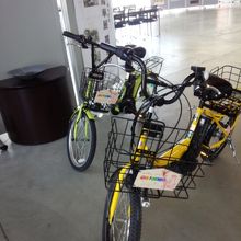 さぁ!!探検に行くよ