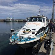 【御船印】北海道ウトロ　知床クルーザー観光船ドルフィン 知床クルーザー観光船ドルフィン | Shari-gun Hokkaido