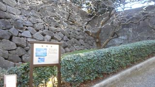 その名の通り白梅が咲き始めていました