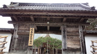 朝のお散歩☆中尊寺