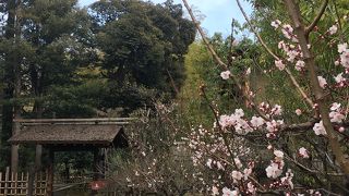 気軽に和を楽しむ