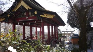 渡れる機会は少ない、時期を狙って