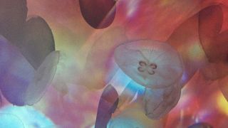 お気に入りの場所