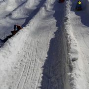 冬季は入場料のみで雪遊びを楽しめる