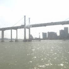 フェリーから見た澳門友誼大橋