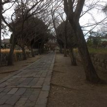 いろは坂です。