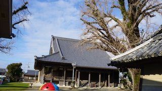 そもそも、御坊という名前はこの日高別院からきています