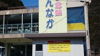 遊覧船もあります