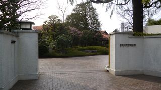 お庭がきれいで、ヒマラヤスギの大木が雄大