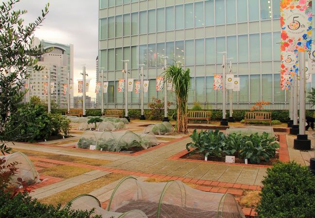 天空の農園 クチコミ アクセス 営業時間 キタ 大阪駅 梅田 フォートラベル 天空の農園 クチコミ アクセス 営業時間 キタ 大阪駅 梅田 フォートラベル