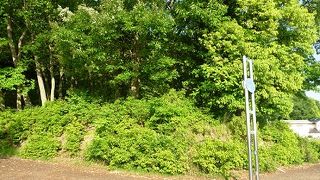 備中高松城水攻めの遺構