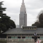 都心に乗馬クラブがあったので少し驚きました