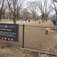 犬好きの方にはおすすめです By とーふ 代々木公園ドッグランのクチコミ フォートラベル